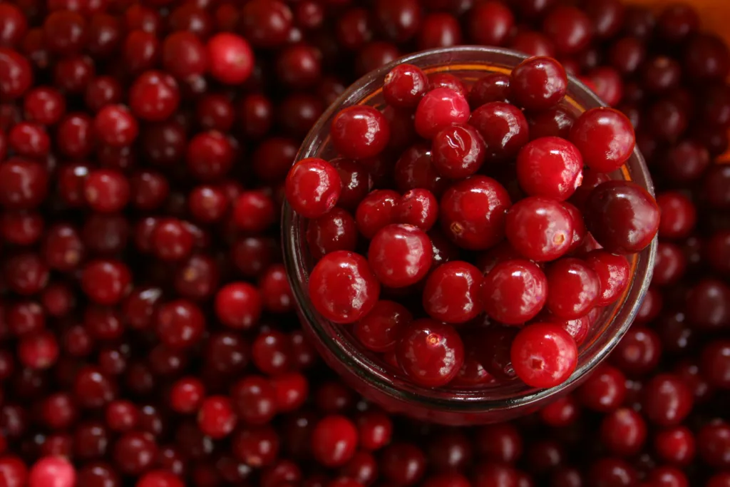 Cranberry Nutrition and Benefits